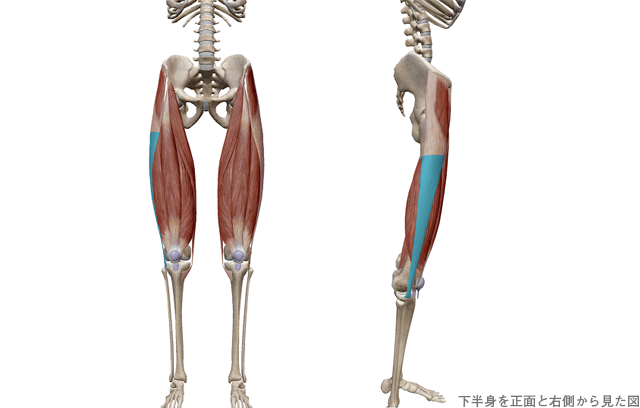 腸脛靭帯炎（ランナー膝）